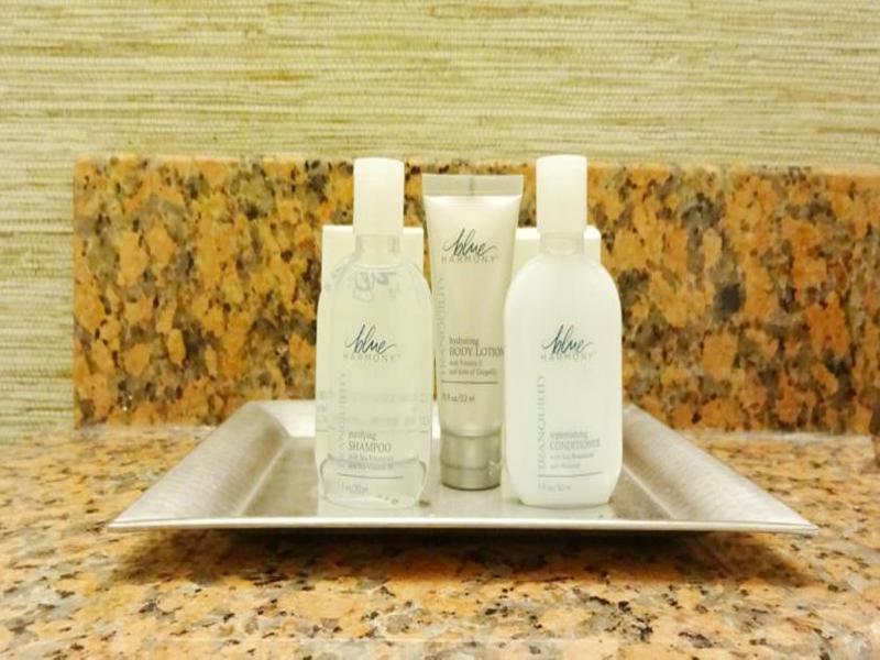Hotel Wyndham Philadelphia-historic District 4*